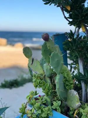 Paesaggio naturale nelle vicinanze della casa vacanze