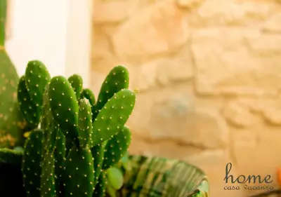 Planimetria di Casa vacanza home Ragusa