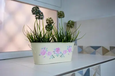 Planimetria di Lavika Home