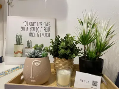 Planimetria di Nesea Home
