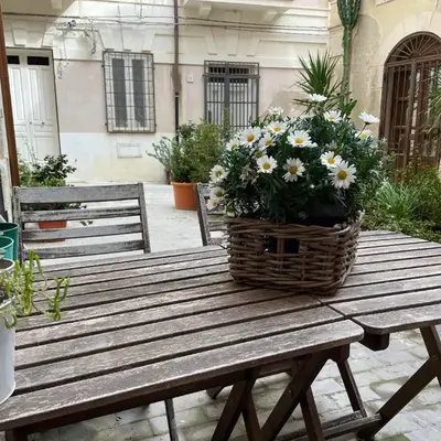 Nesea Home