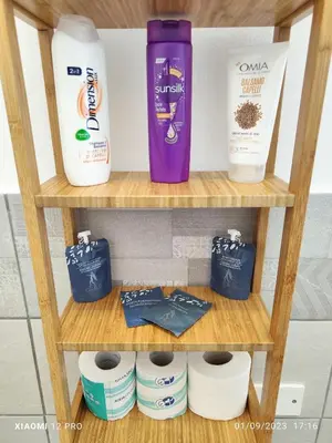 Planimetria di Casa delle Muse 48