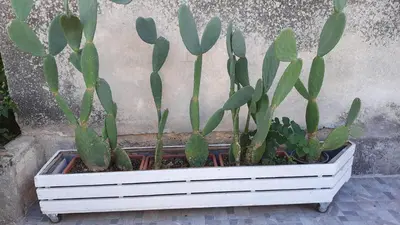 Giardino di A'MA CASA