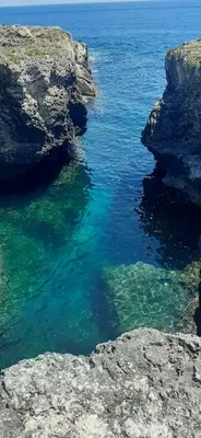 Planimetria di Casa Diana