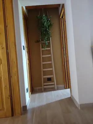 Planimetria di Il Primo Fiore