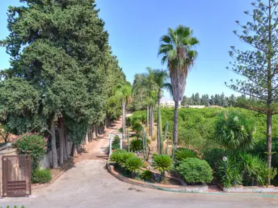 Giardino di Villa Smeraldo by Interhome