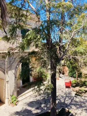 Planimetria di Villa Polara
