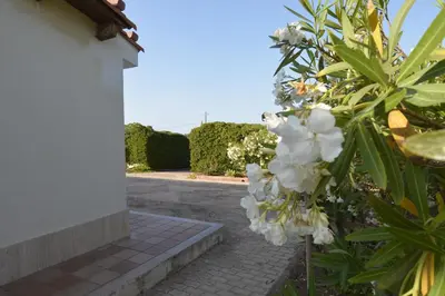 Giardino di Villa Chiara