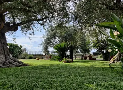 Giardino di Villa Antonella