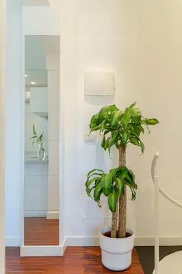 Planimetria di Suite Verga