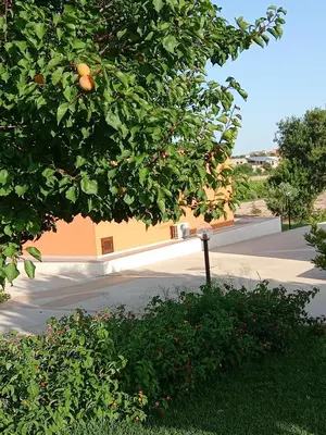 Planimetria di Il Poggetto Marzamemi - Le Villette