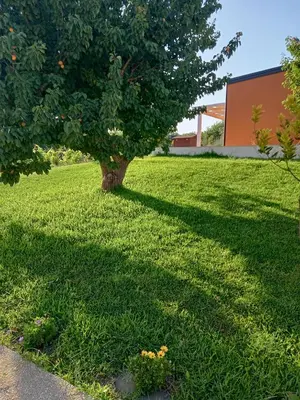 Giardino di Il Poggetto Marzamemi - Le Villette