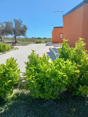 Planimetria di Il Poggetto Marzamemi - Le Villette