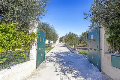 Il quartiere o una zona nella vicinanze della villa