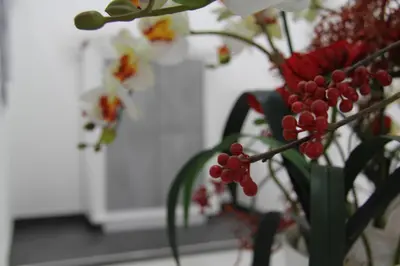 Planimetria di How Beach,modern apartment close to the beach,WiFi