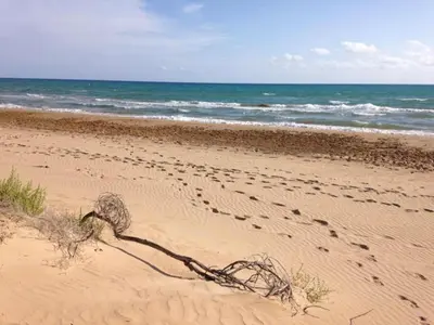 Paesaggio naturale nelle vicinanze dell'appartamento