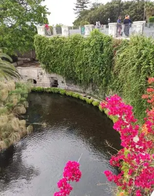 Giardino di La casa di Sally