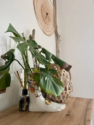 Planimetria di Villa Patty