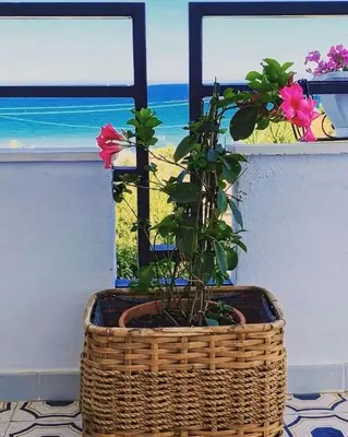 Paesaggio naturale nelle vicinanze della casa vacanze
