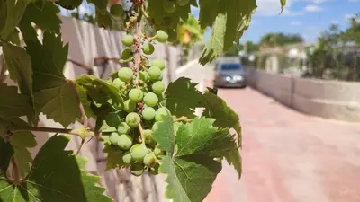 Planimetria di Casavacanze Villa MASHALLAH