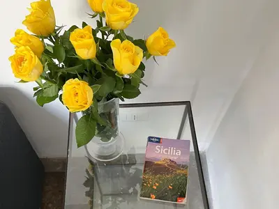 Planimetria di Casa Licia
