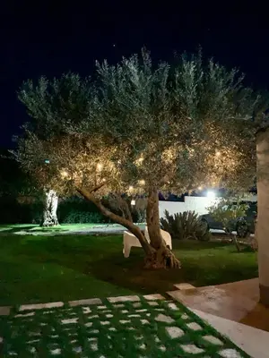 Giardino di Casa DaviRì
