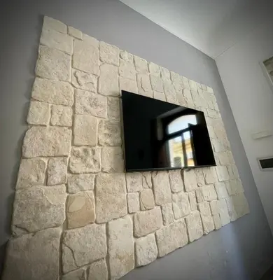 TV o dispositivi per l'intrattenimento presso Luxury home