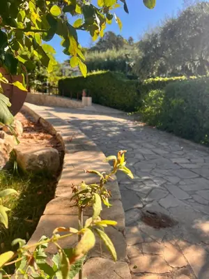 Giardino di Villa Aurea