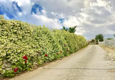 Giardino di Villa Barone Alfieri - Pozzallo RG