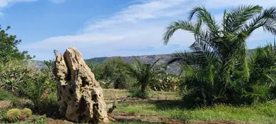 Paesaggio naturale nelle vicinanze dell'appartamento