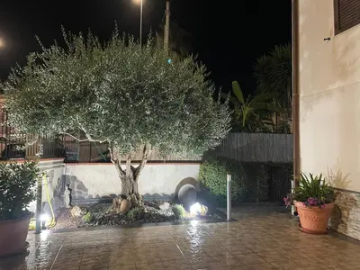 Giardino di Villa Rea comfort e relax