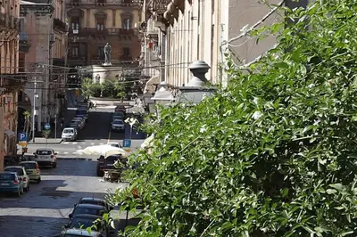 Il quartiere o una zona nella vicinanze dell'appartamento