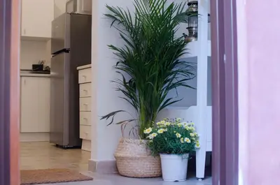 Cucina o angolo cottura di La Casetta