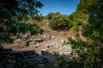Paesaggio naturale nelle vicinanze dell'appartamento
