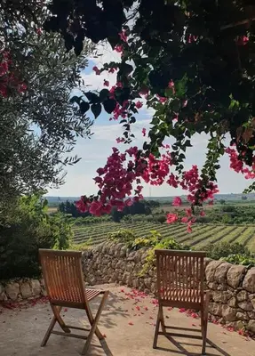 Giardino di Villa Calma