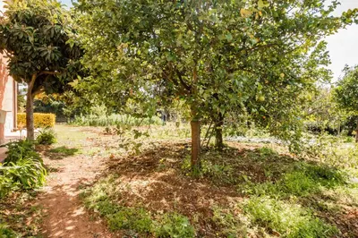 Giardino di Villa Rosa