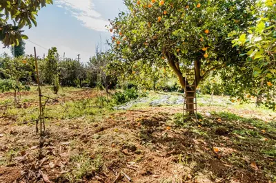 Giardino di Villa Rosa
