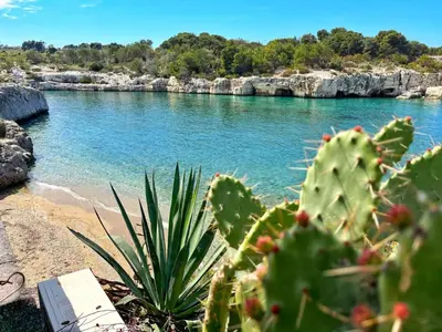 Paesaggio naturale nelle vicinanze dell'appartamento