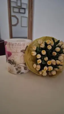 Planimetria di Citrus Verde