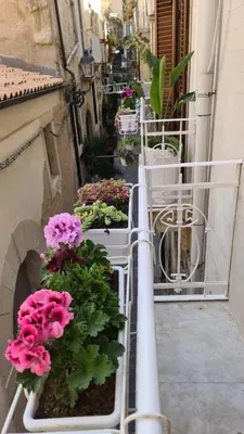Planimetria di Casa Daphne di Ortigia