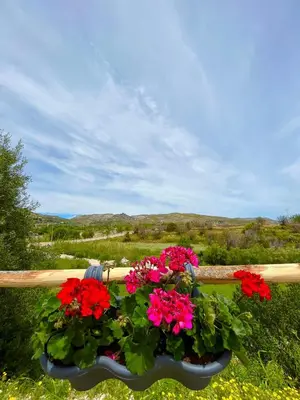 Paesaggio naturale nelle vicinanze della villa