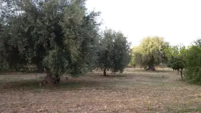 Paesaggio naturale nelle vicinanze della casa vacanze