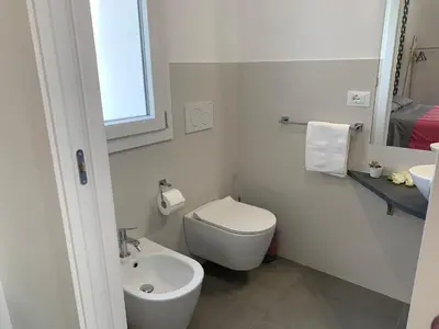Bagno di White House monolocale