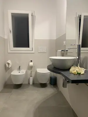 Bagno di White House monolocale